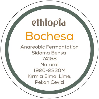 Ethiopia Bochesa Anaerobic Natural