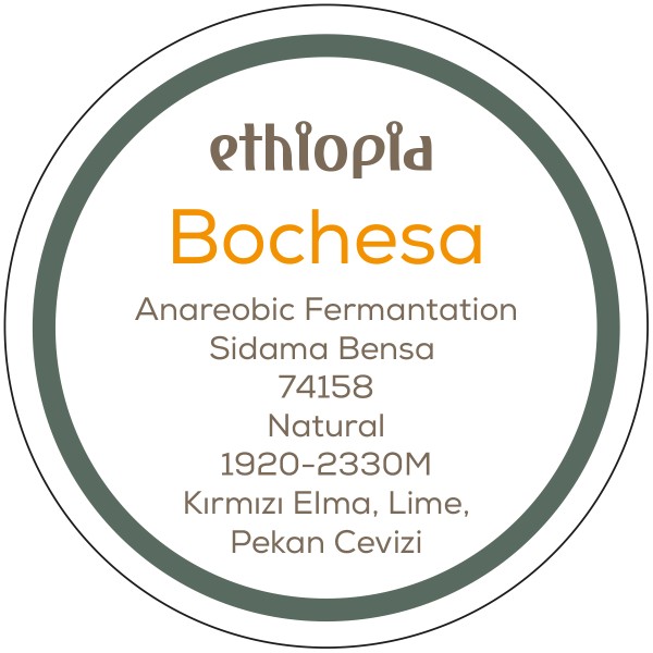 Ethiopia Bochesa Anaerobic Natural