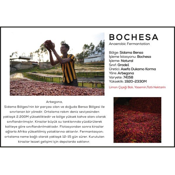 Ethiopia Bochesa Anaerobic Natural