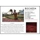 Ethiopia Bochesa Anaerobic Natural